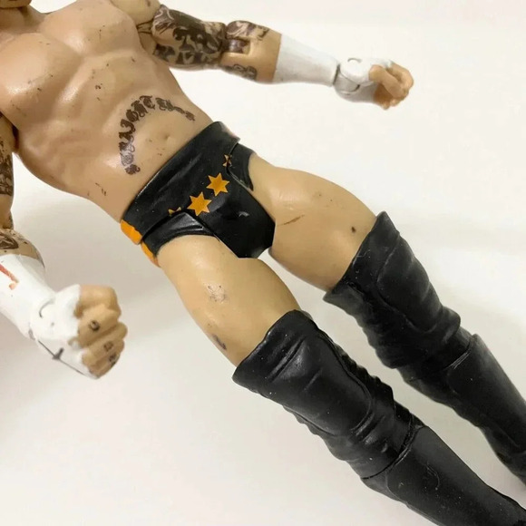 2010 Mattel WWE Wrestling CM Punk Figure  WWF WCW - Picture 16 of 16